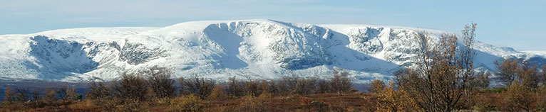 Holsåsen