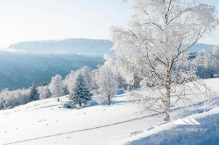 Bilder Holsåsen Stølsgrend 