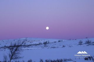 Bilder Holsåsen Stølsgrend 