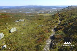 Bilder Holsåsen Stølsgrend 