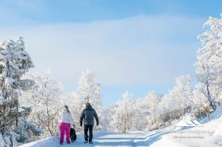 Bilder Holsåsen Stølsgrend 