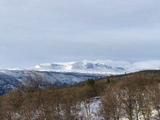 Bilder Holsåsen Stølsgrend 