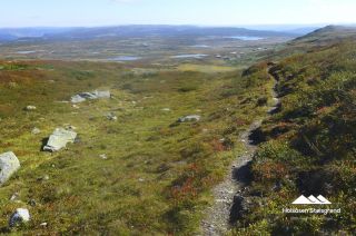 Bilder Holsåsen Stølsgrend 