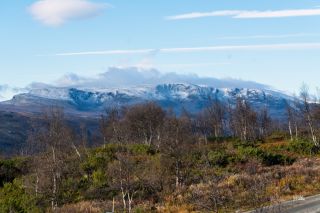 Bilder Holsåsen Stølsgrend 