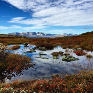 Bilder Holsåsen Stølsgrend 