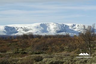 Bilder Holsåsen Stølsgrend 