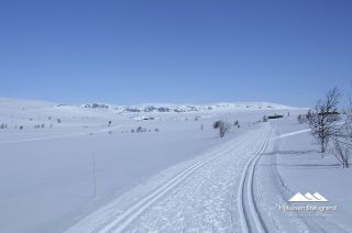 Bilder Holsåsen Stølsgrend 