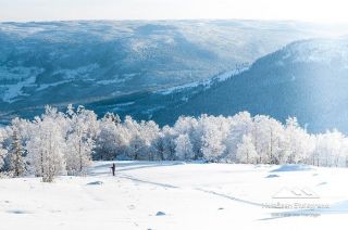 Bilder Holsåsen Stølsgrend 