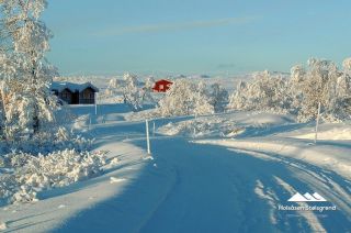 Bilder Holsåsen Stølsgrend 