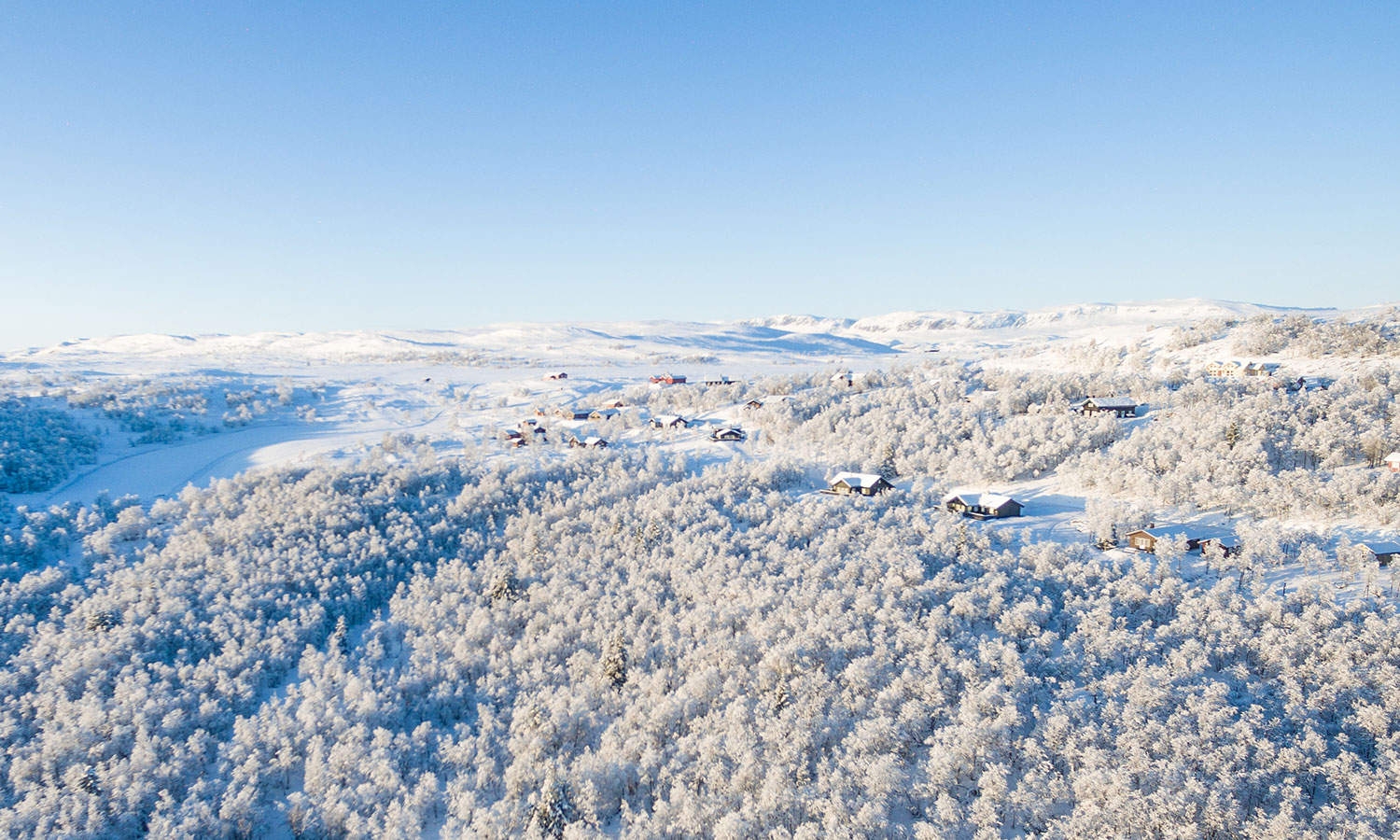 Bakgrunnsbilde Holsåsen Stølsgrend