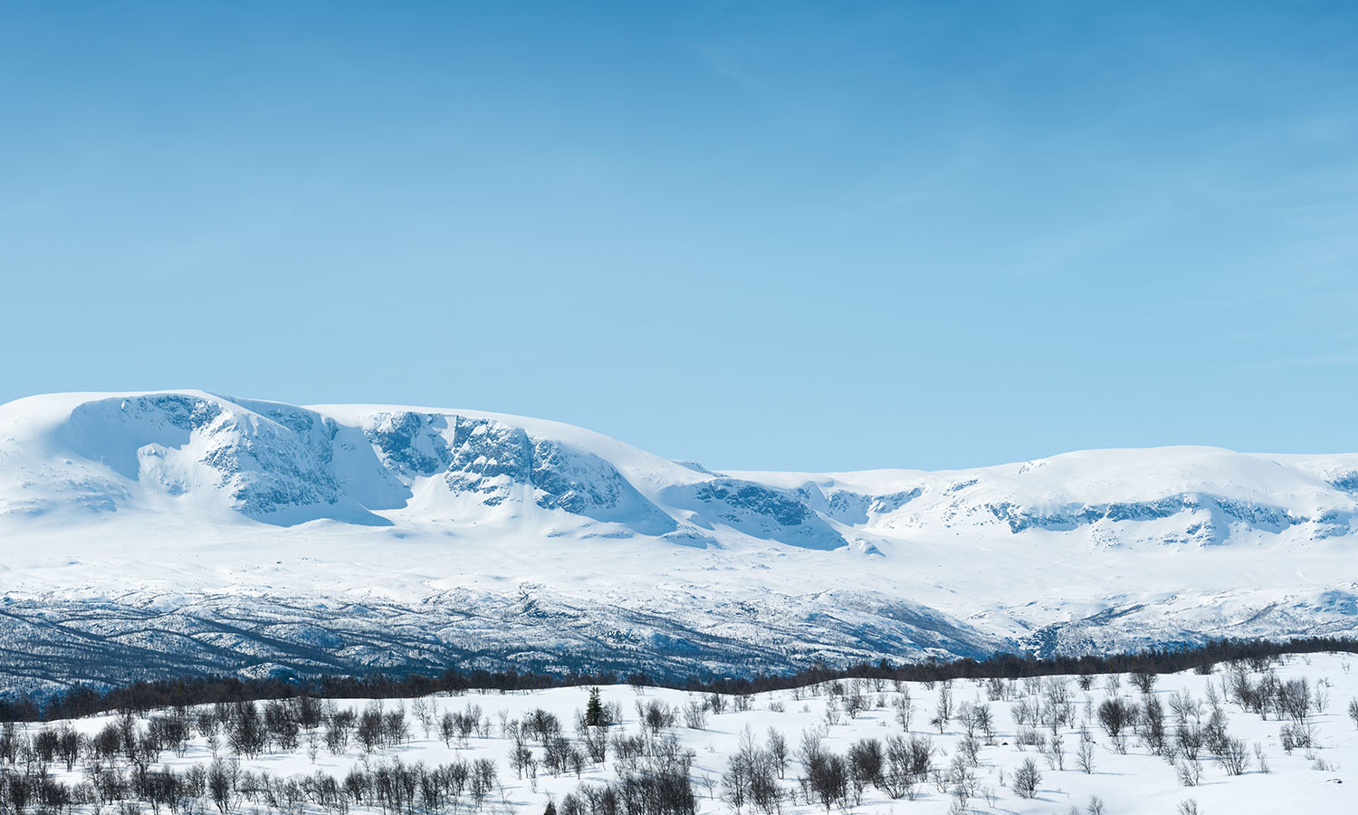 Bakgrunnsbilde Holsåsen Stølsgrend