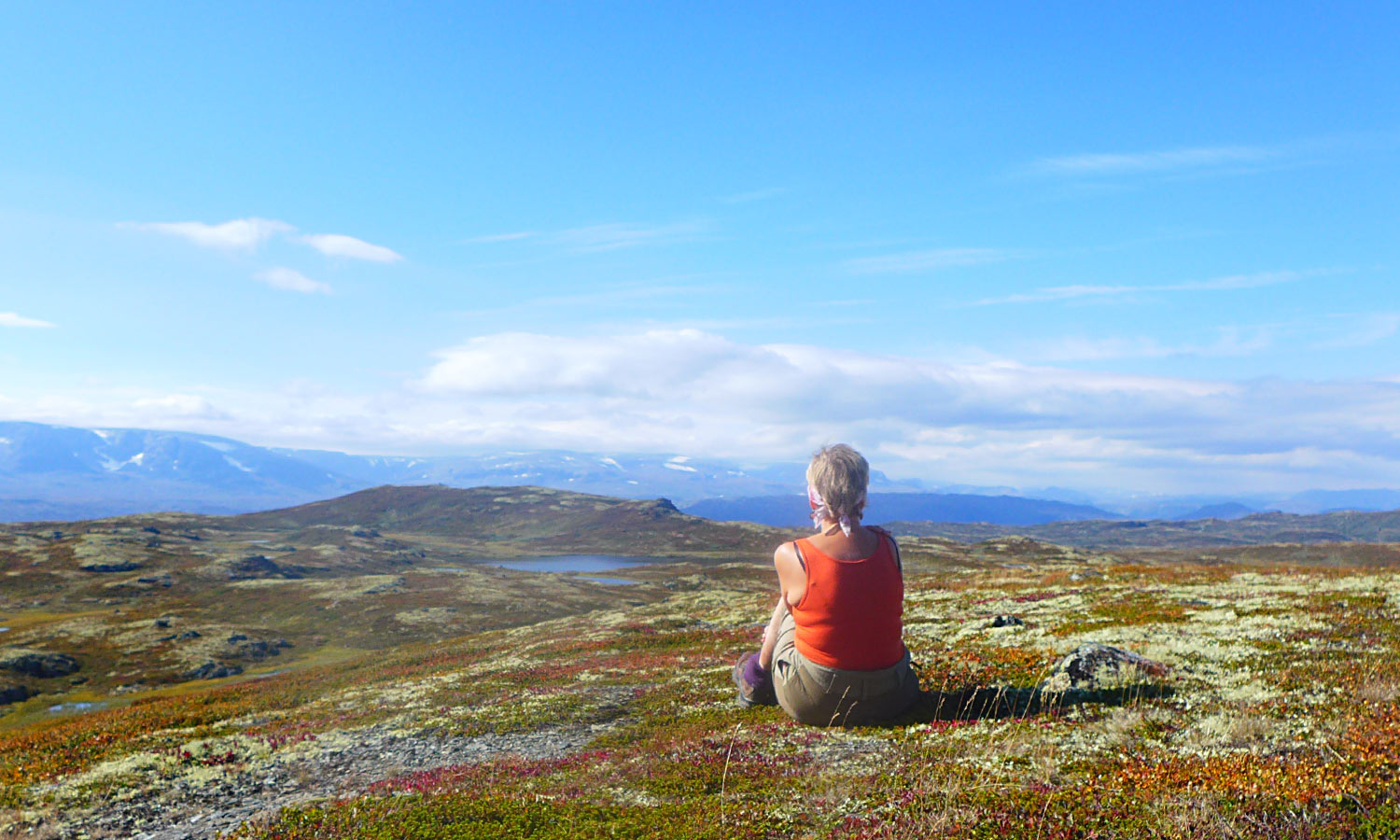 Bakgrunnsbilde Holsåsen Stølsgrend