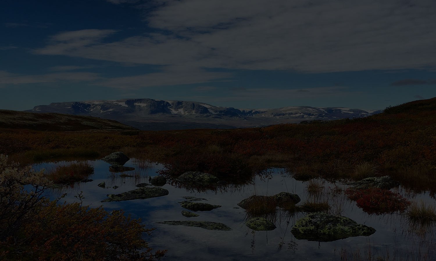 Holsåsen Stølsgrend Bakgrunnsbilde