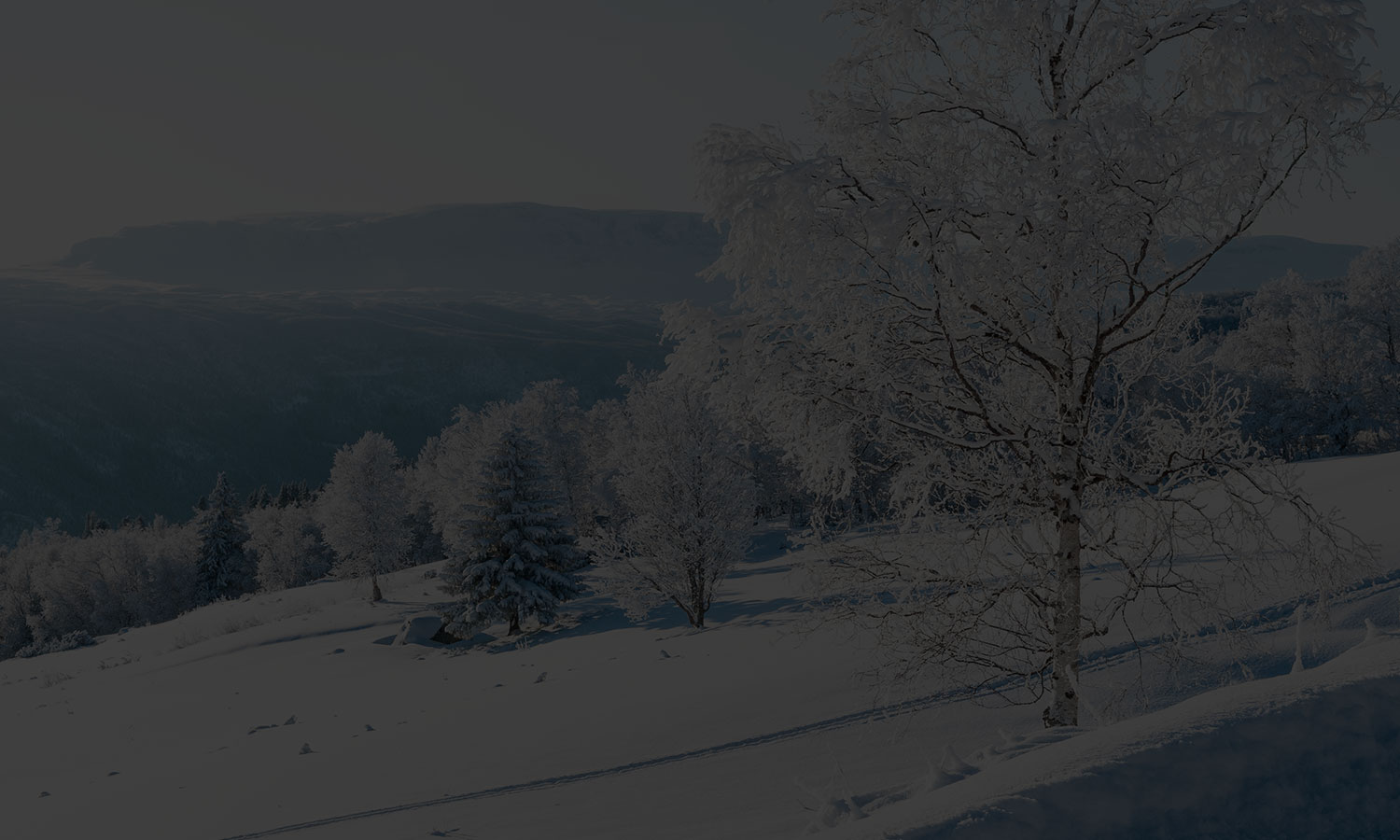 Holsåsen Stølsgrend Bakgrunnsbilde